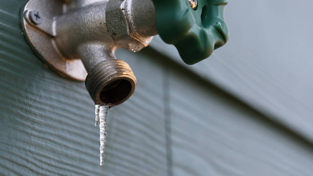 Best Plumbing Inspection Services  in Norwood, OH