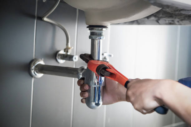 Best Local Plumber Services  in Norwood, OH